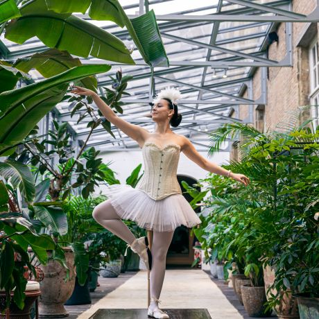 La R&ecirc;verie de Symphonie